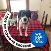 melissawatrousjac - @melissawatrousjac - TikTok