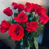 melissawedge669 - @melissawedge669 - TikTok