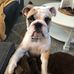 Melissa Weems - Facebook