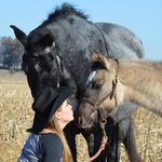 Melissa Ahrenholz Wertz - @melissaw1121 - Instagram