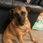 Melissa Wesner - @mwesner59 - Instagram
