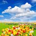 Melissa Whitehurst - Facebook