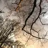 Melissa Wichmann - @wonderwishmann - TikTok