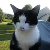 Melinda Wickline - @melinda.wickline - TikTok