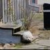 Weist Mel - Facebook