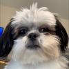 Melissa Wild Speicher - @melissa.wild.spei - TikTok