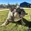 melissa wiley - @melissawiley31 - TikTok