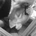Melissa Wind - Facebook
