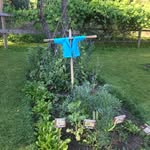 Melissa Wind Frazier - @storybookfarmboise - Instagram