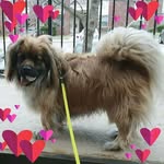 Melissa Winder - @melissa.winder.33 - Instagram
