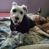 melissawingard309 - @melissawingard309 - TikTok