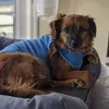 Melissa Wink - @melissa.wink4 - TikTok