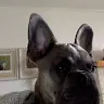 Melissa Wolfson - @melissawolfson72 - TikTok