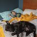 Melissa Woolley - Facebook