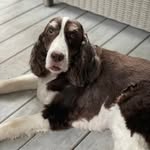 Melissa Worsham Rodrigue - @meldav03 - Instagram