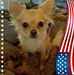 Melissa Worth - Facebook
