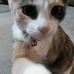 Melissa Wurster - Facebook