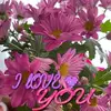 Melissa Yanke Wagner - @melissayankewagner - TikTok