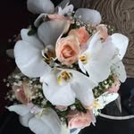 Melissa Joan Yeh - @melissajoanyeh - Instagram
