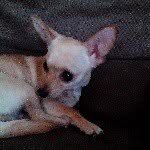 Melissa Zebley - @melissa_rocks2003 - Instagram