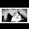 Melissa Amoureusse Zenner - @iam.melissa71 - TikTok