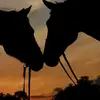 melitoramirez22 - @melitoramirez22 - TikTok