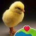 Meliton Rodriguez - Facebook