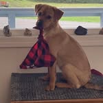 Melodie Faircloth Cameron - @yarnaholic_forever - Instagram