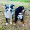 Cooper&Melodie - @cooper.and.melodie - TikTok