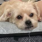 Melodie cooper - @melodiecooper1 - Instagram