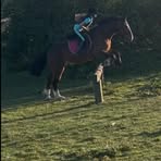 Melodie Longhorns - Facebook