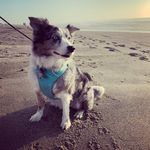 Melodie Smith - @cellardoorgirl - Instagram
