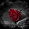 Melody arnold - @melody.arnold6 - TikTok