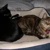 Melody - @melody.barber38 - TikTok