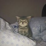 Melody Barton - @m3lody_bart - Instagram