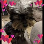 Melody Berry - Facebook