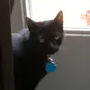 Melody Booth - @melody.booth - TikTok