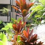 Melody Dennis Booth - @melodybooth274 - Instagram