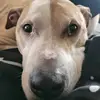 Melody Bowers - @melody.bowers7 - TikTok