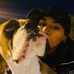 melody🐶 - @melody_boxer - Instagram