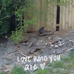 Melody Burns - @felineshifter - Instagram
