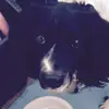 Melody Burns - @melodyburns - TikTok