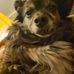 Melody Cagle - Facebook