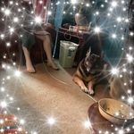 Melody Carroll - @melody.carroll.108 - Instagram