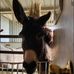 Melodie Cheney - Facebook