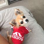 Melody - @melody.cottonon - Instagram