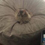 Melody Counts - @melody.counts - Instagram