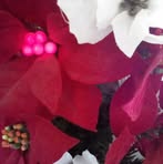 Melody Craft - Facebook