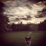 Melody Deal - @esynexia - Instagram