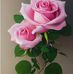 Melody Dickens - Facebook